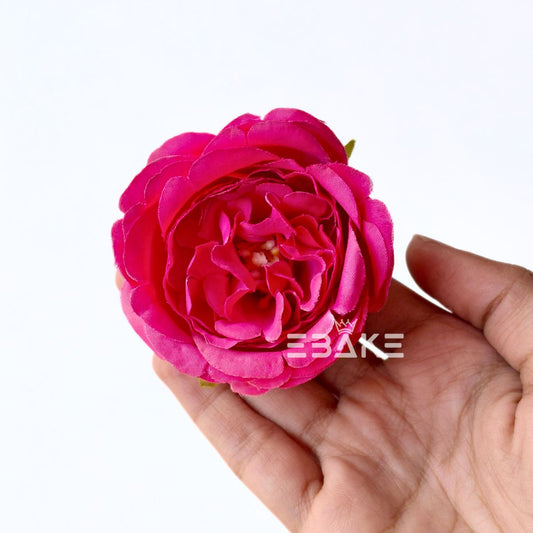 Medium Peony - A1980 (Hot Pink)