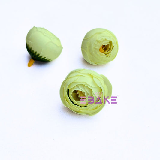 Small Peony - A1932 Greenish White