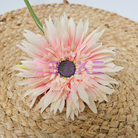Shaded Pink Gerbera Daisy (Single Piece) A879