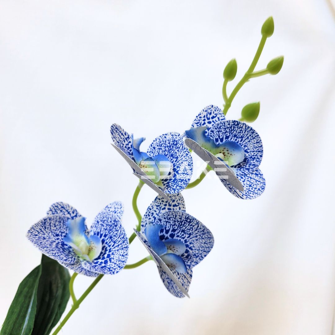 Orchid Bunch A1374 - Blue