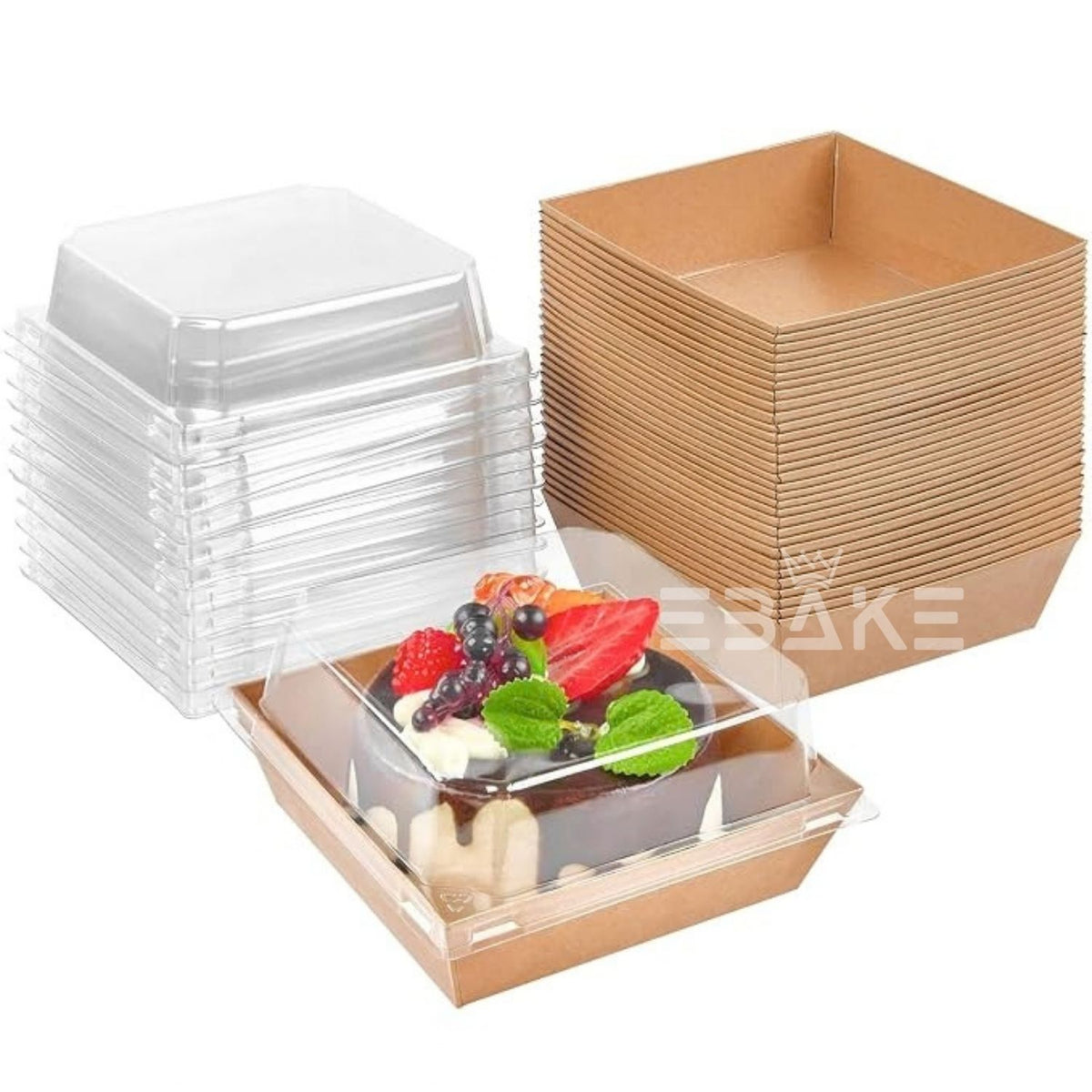Square Container With Transparent Lid