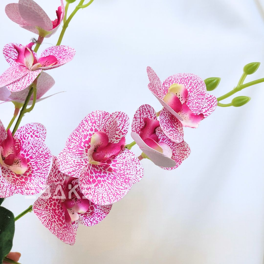 Orchid Bunch A1371 - Pink