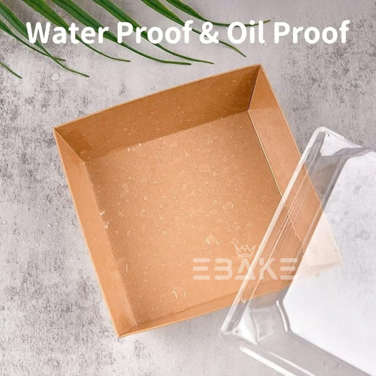 Square Container With Transparent Lid