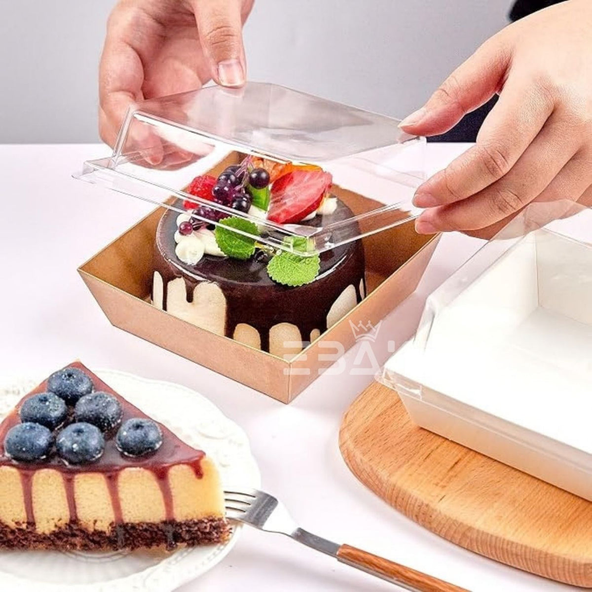 Square Container With Transparent Lid