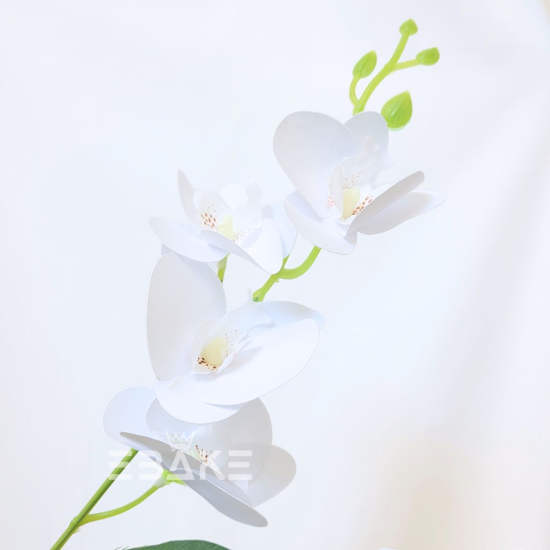 Orchid Bunch A1373 - White