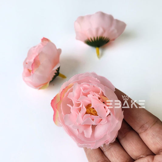 Medium Peony Pink - A1291