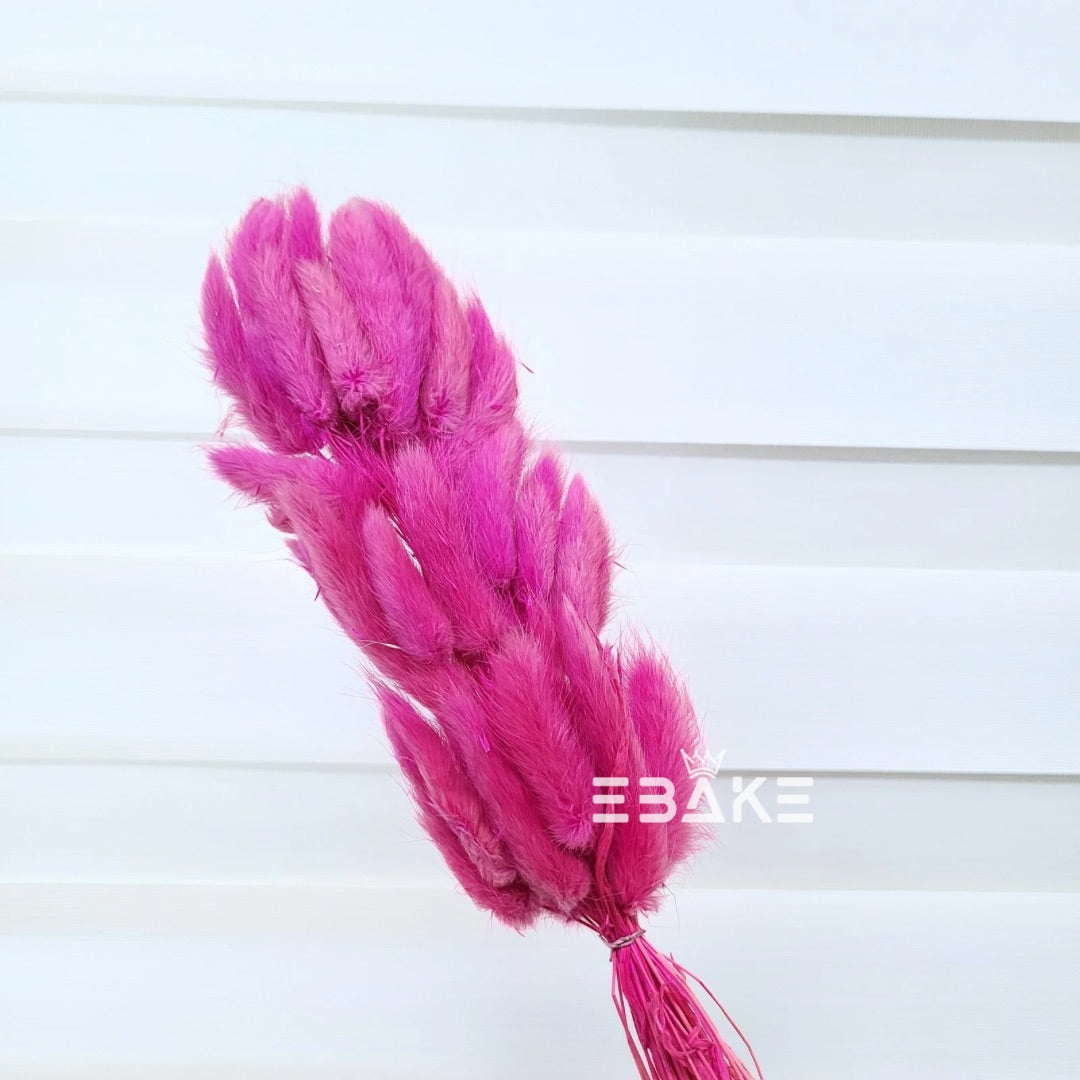 Bunny Tails Bunch Fuchsia (Rabbit Tails/Lagurus)