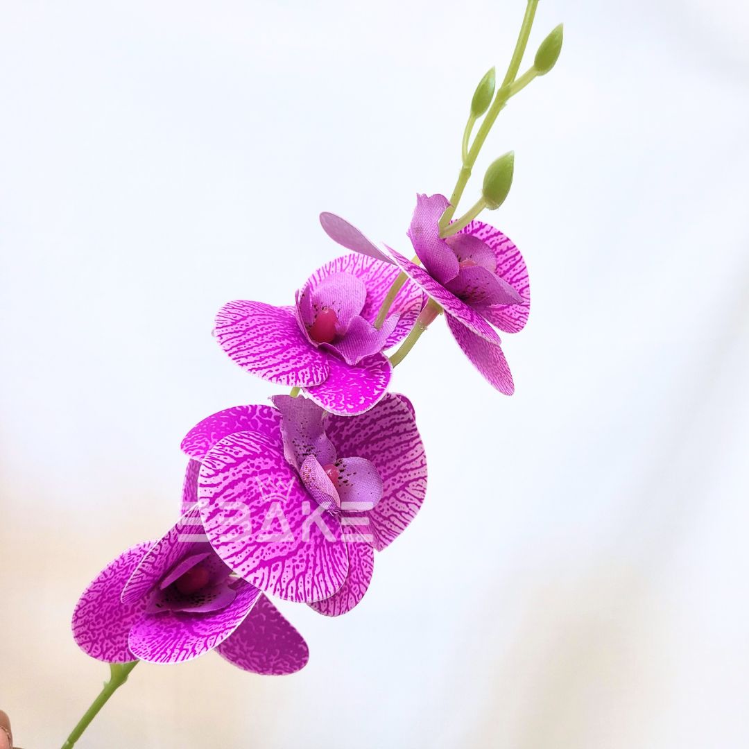 Orchid Bunch A1369 - Purple