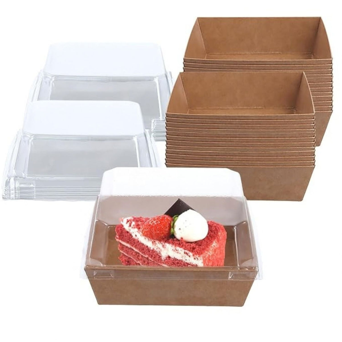 Square Container With Transparent Lid