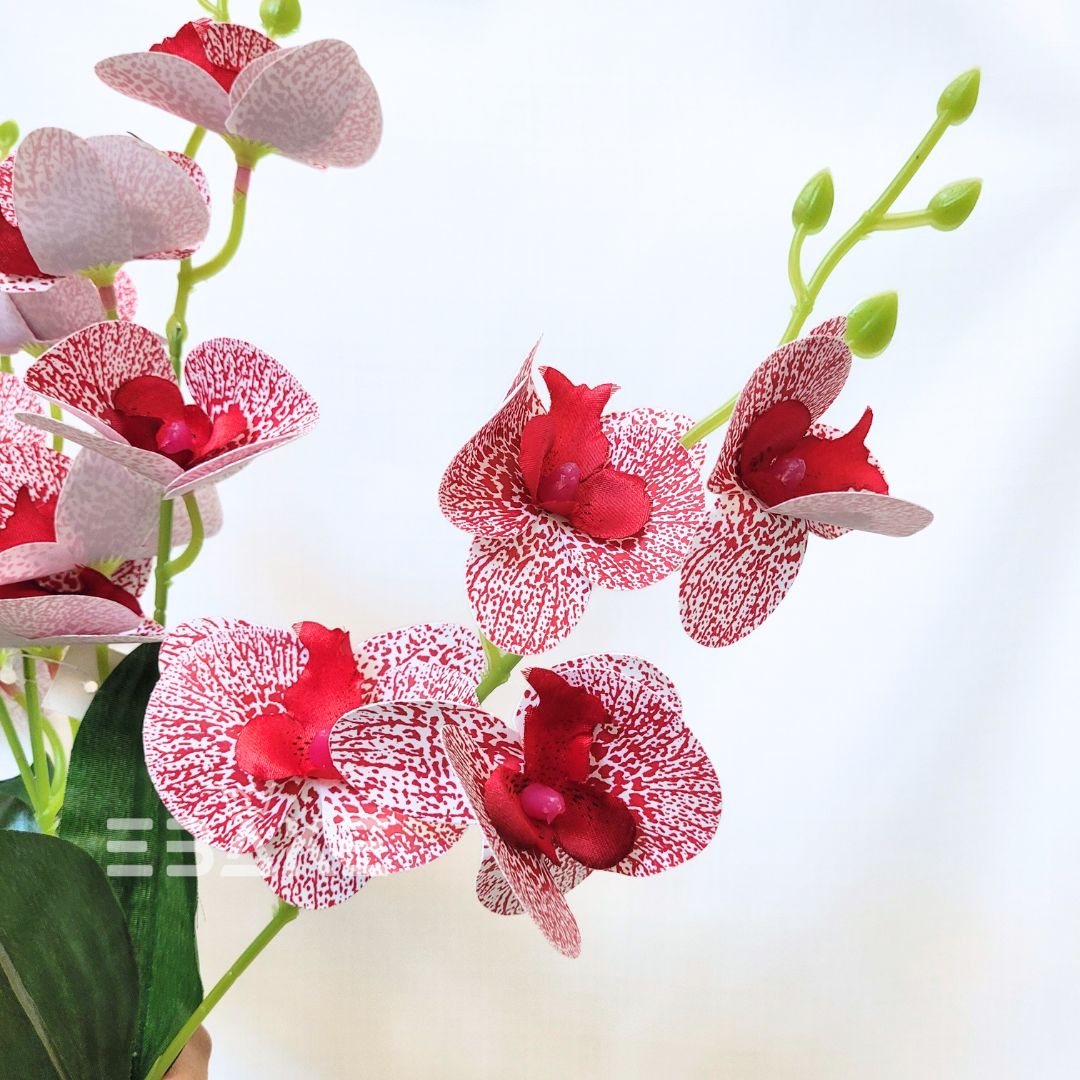 Orchid Bunch A1370 - Red