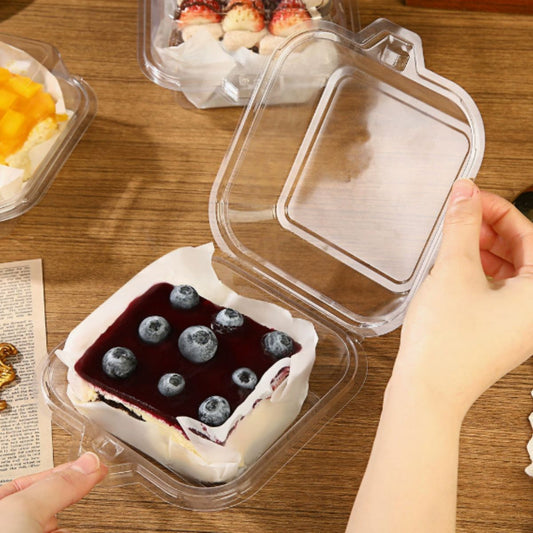 Transparent Bento Cake Box - Small (Set of 5) PVC