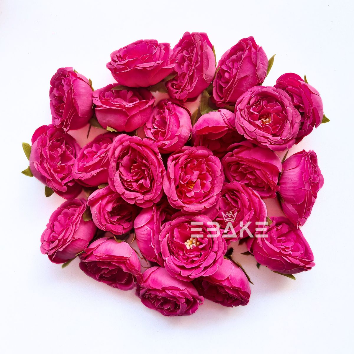 Medium Peony - A1980
