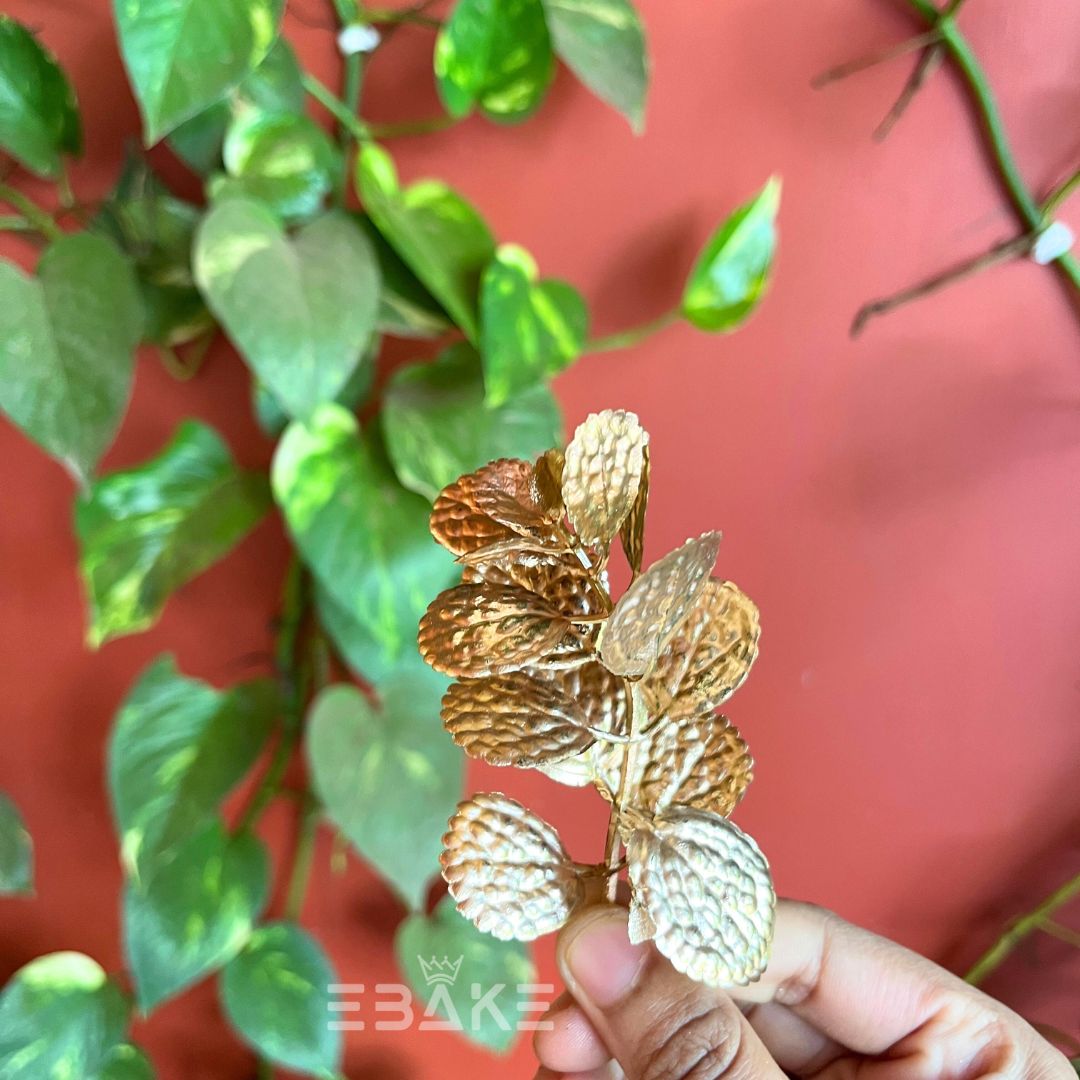 Golden Eucalyptus Leaf A1242