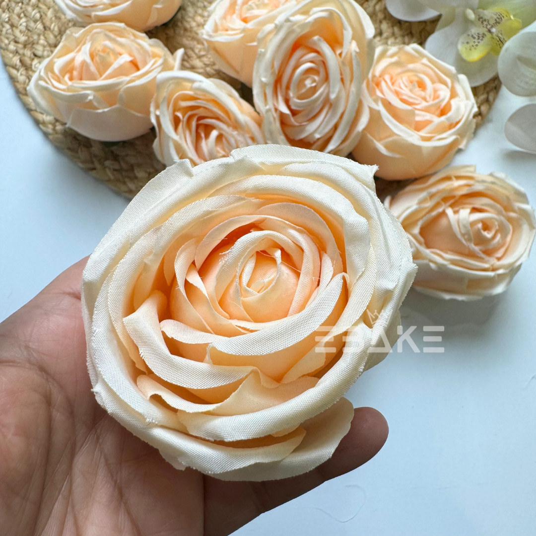 Cabbage Rose - A890 Light Cream