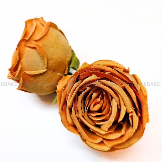 Cabbage Rose - A603 Honey (Single Piece)