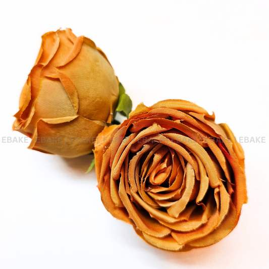 Cabbage Rose - A603 Honey