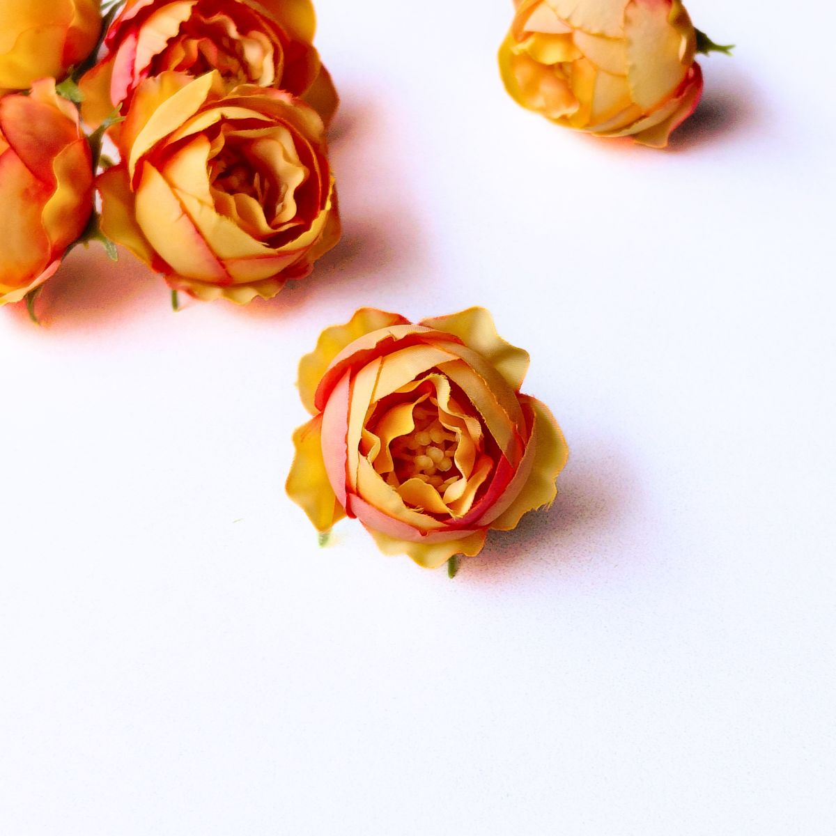 Small Peony - A1997