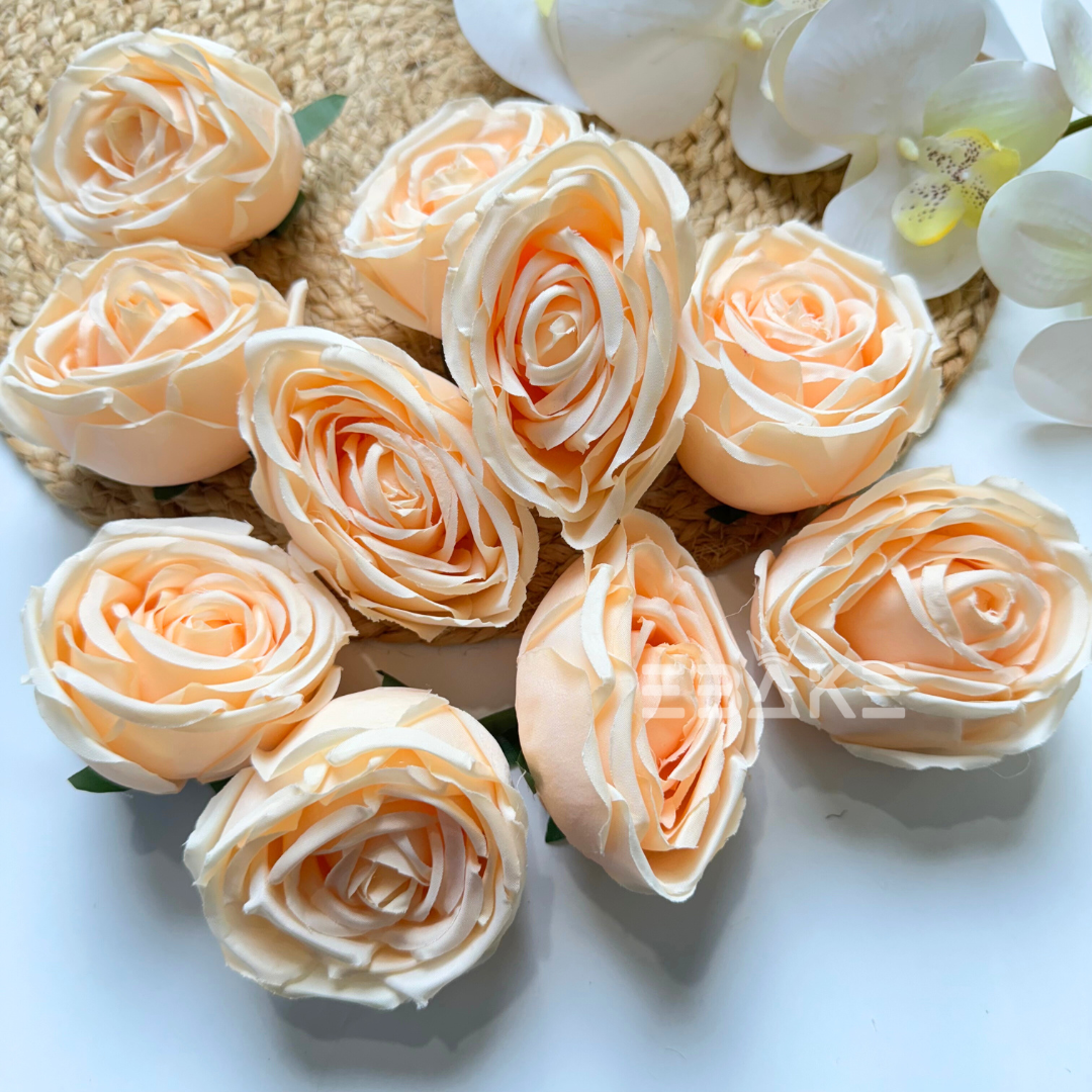 Cabbage Rose - A890 Light Cream