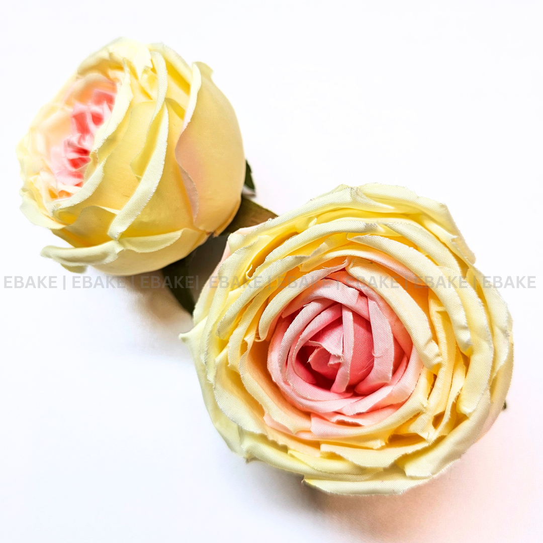 Cabbage Rose - A607 Cream & Pink