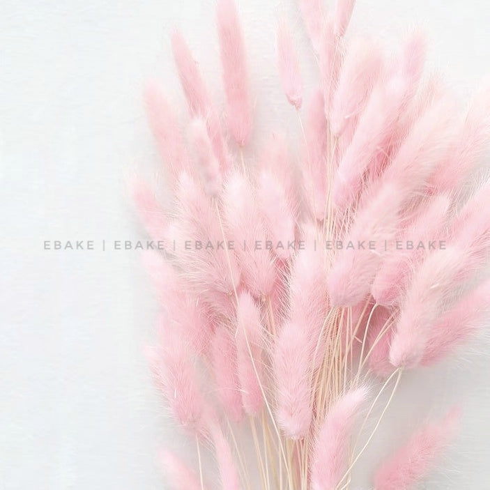 Bunny Tails Bunch Pale Pink (Rabbit Tails/Lagurus)