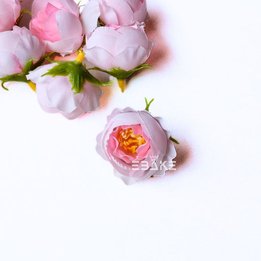 Small Peony - A1998