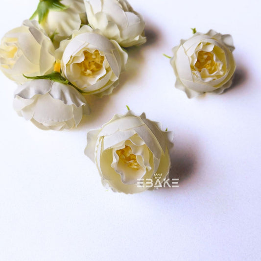 Small Peony - A1999