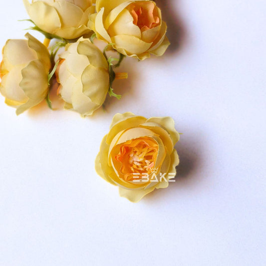 Small Peony - A2000