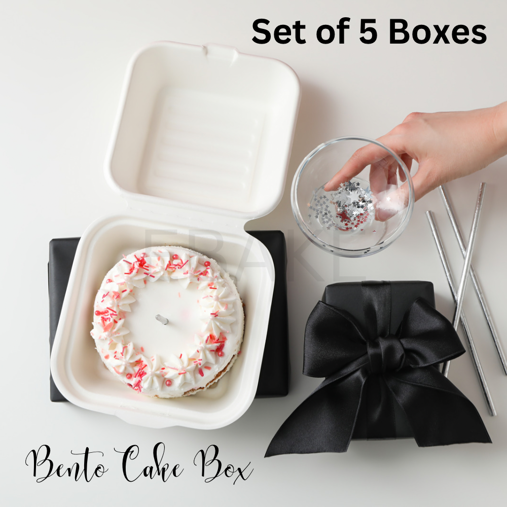 6” Bento Cake Box - Small (Set of 5) New