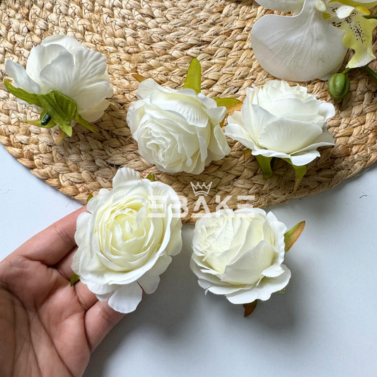 English Rose - A563 White