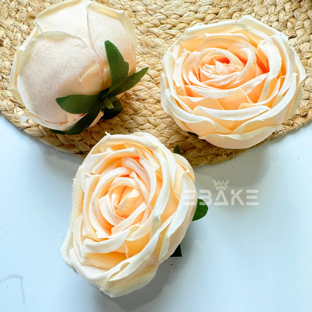 Cabbage Rose - A890 Light Cream