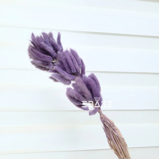 Bunny Tails Bunch Lavender (Rabbit Tails/Lagurus)