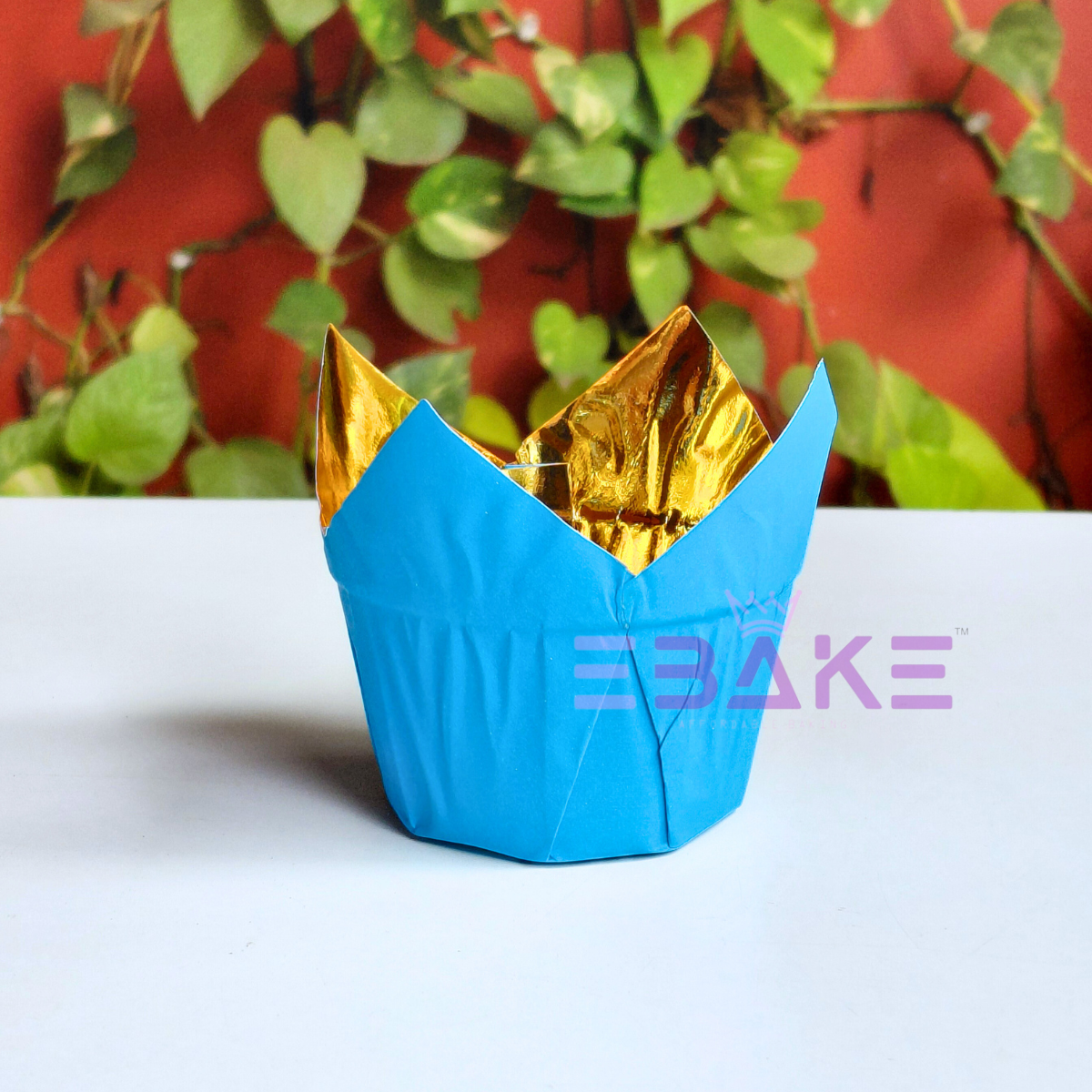 Blue Tulip Cupcake Liner Paper Baking Cups (Set of 50)