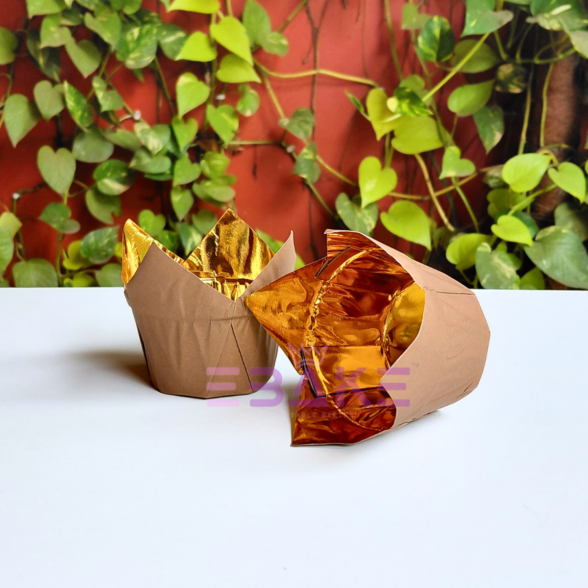 Brown Tulip Cupcake Liner Paper Baking Cups (Set of 50)