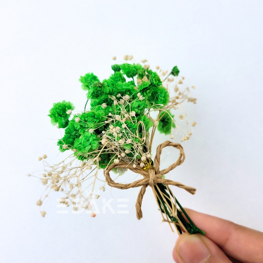 Boho Dried Nano Flower Bunch (Nano Blooms Bunch) Green