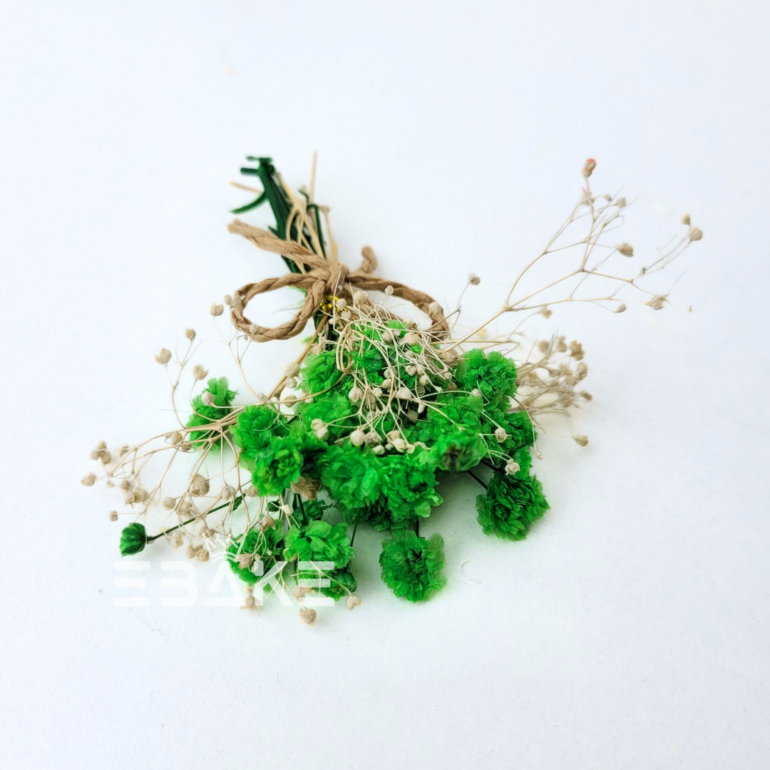 Boho Dried Nano Flower Bunch (Nano Blooms Bunch) Green