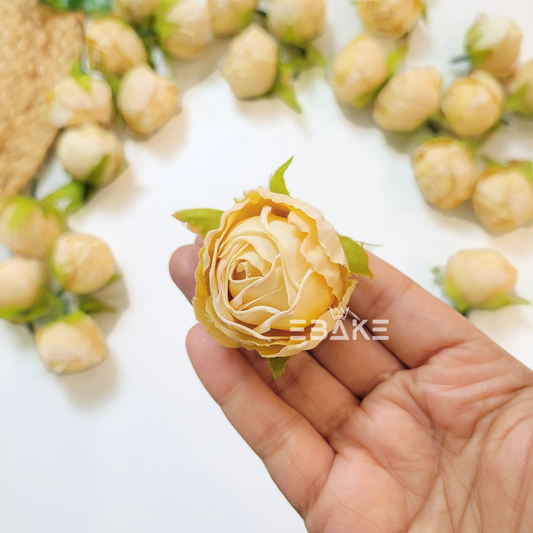 A1741 Dried Finish Small Rose - Pavlova
