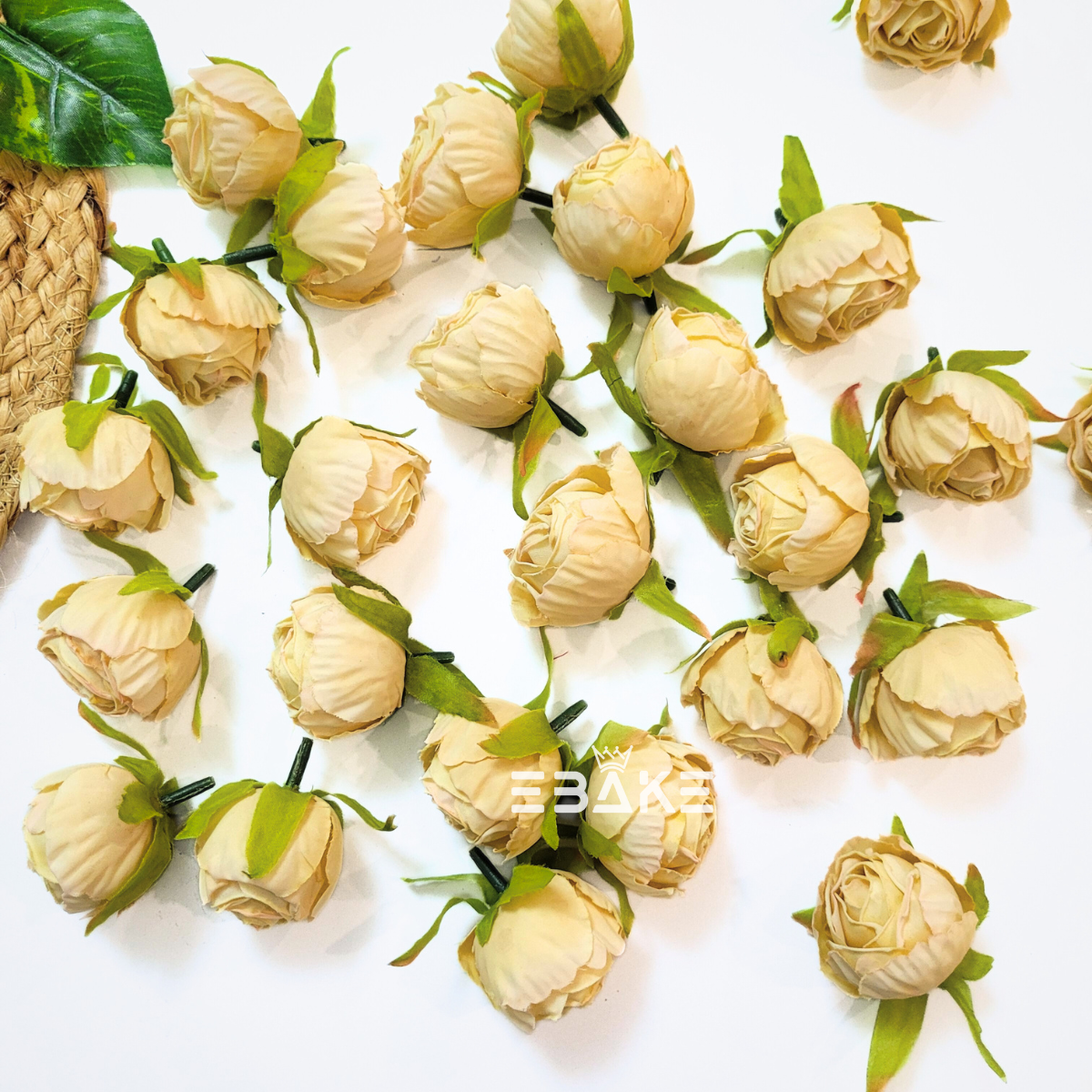 A1741 Dried Finish Small Rose - Pavlova