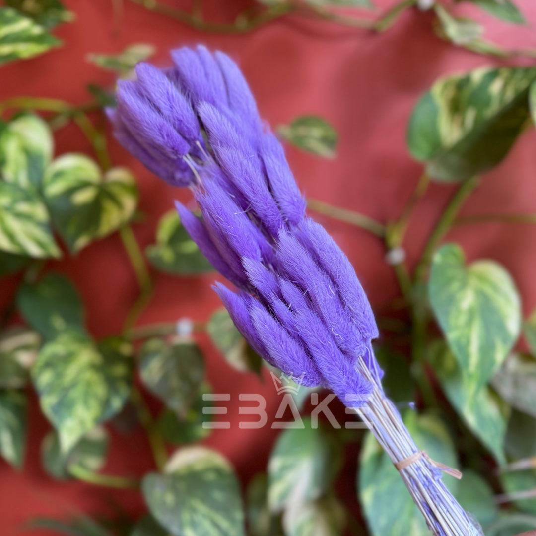 Bunny Tails Bunch Lavender (Rabbit Tails/Lagurus)