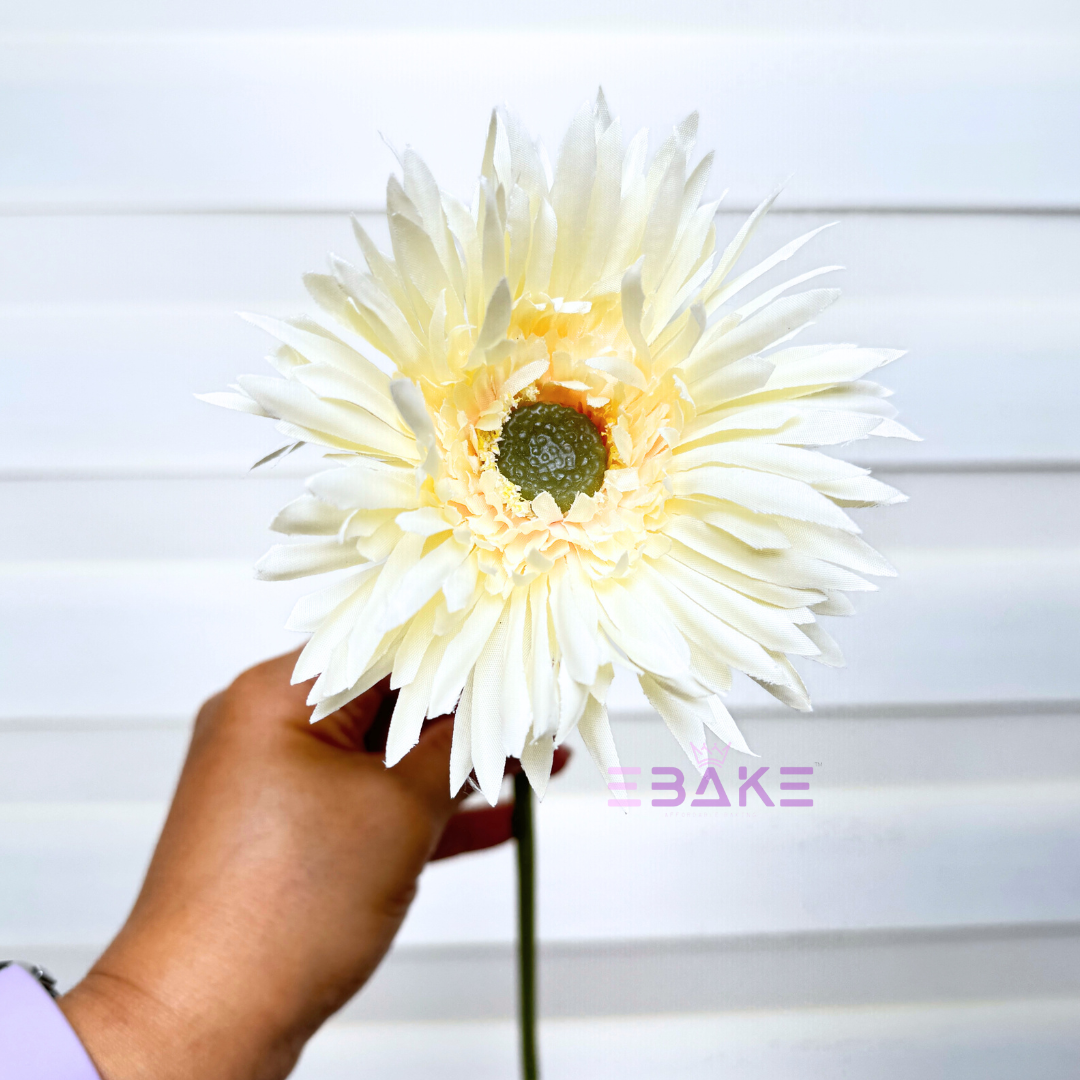 Cream Gerbera Daisy (Single Piece) A877