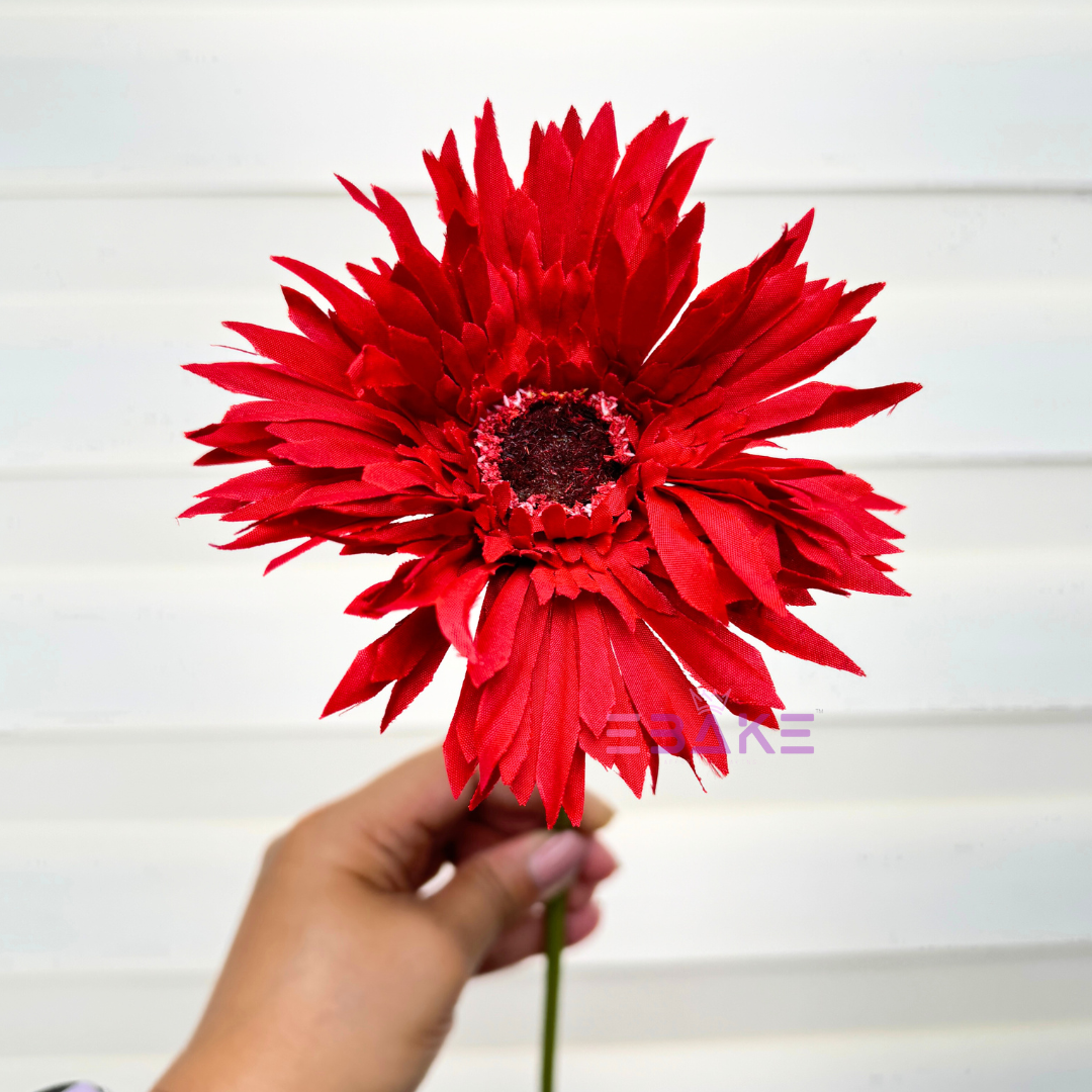 Maroon Gerbera Daisy (Single Piece) A876 EBAKE