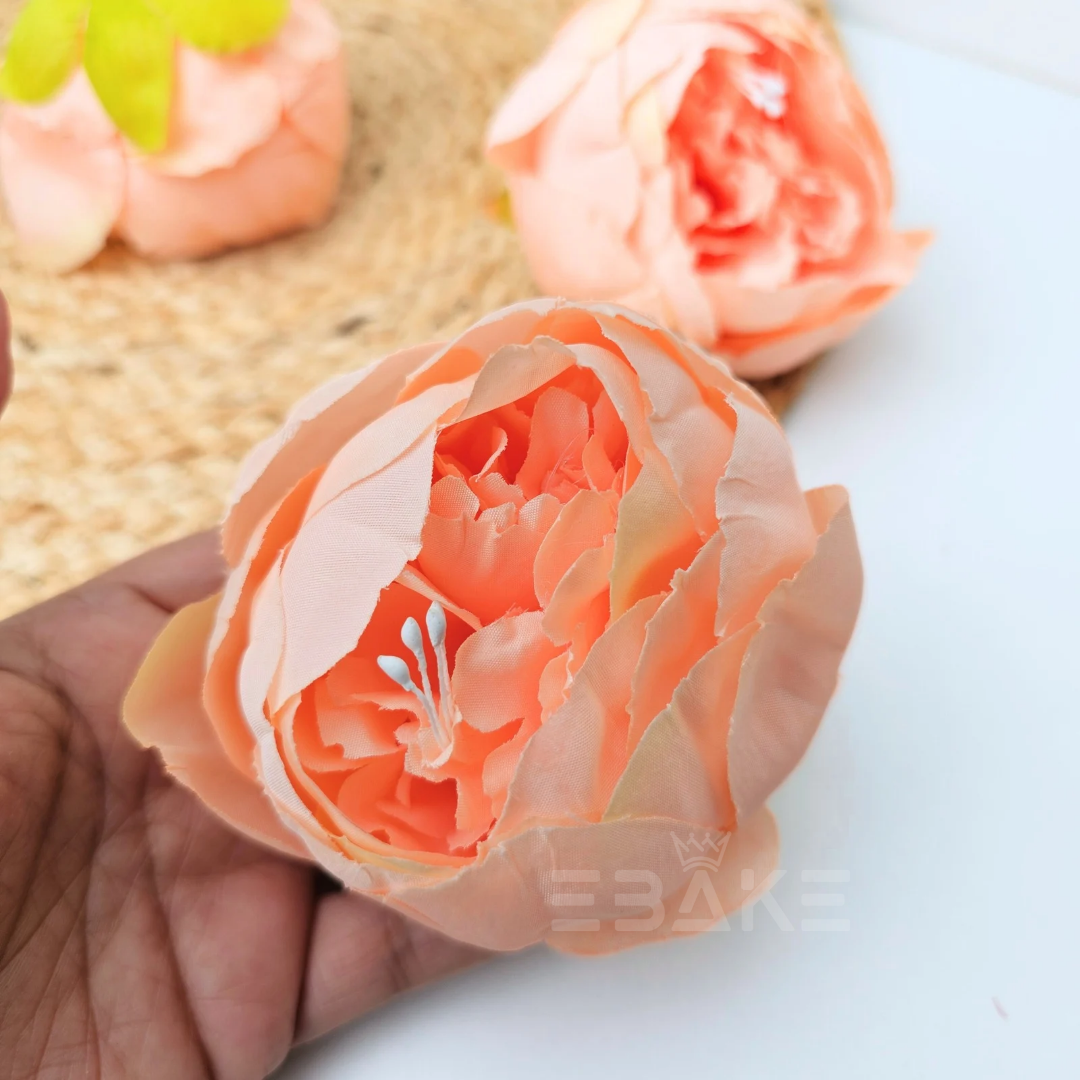 Large Peony - A155 Peach (Jumbo Peony)