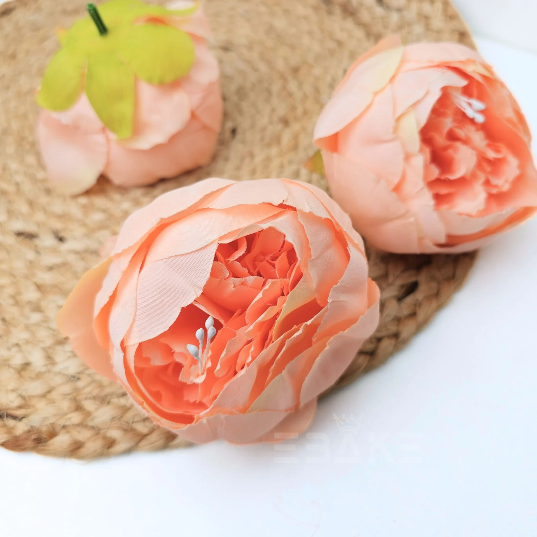 Large Peony - A155 Peach (Jumbo Peony)