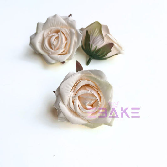 Pastel Rose - A1798