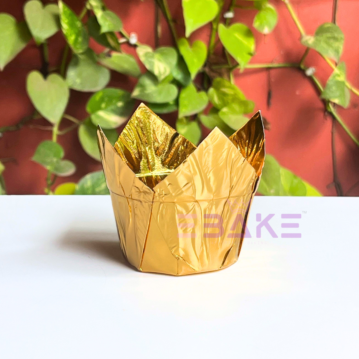 Gold Tulip Cupcake Liner Paper Baking Cups (Set of 50)