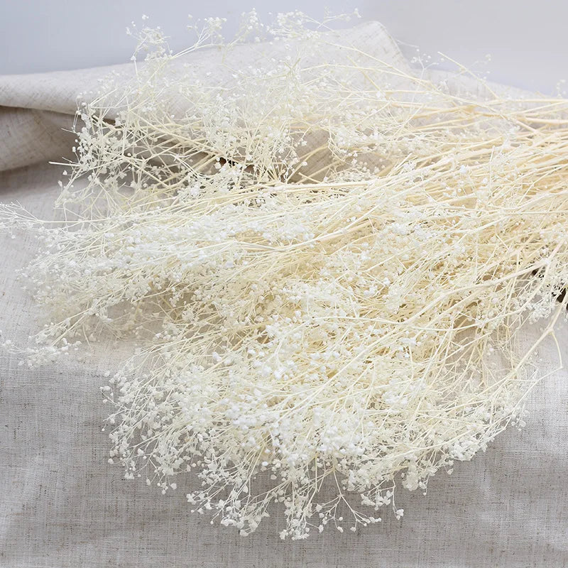 Dried Million Stars - Off White (Gypsophila)