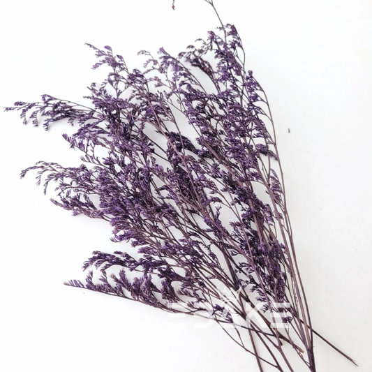 Dried Limonium Caspium Bunch - Purple
