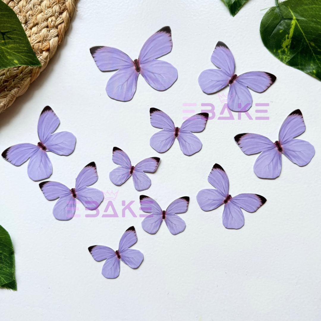 Purple Paper Butterflies - Foldable