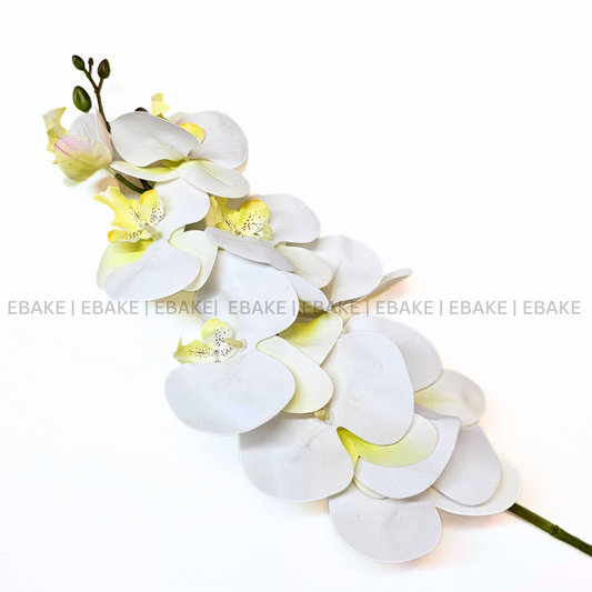 Artificial Orchid - White & Yellow (1 Stem)