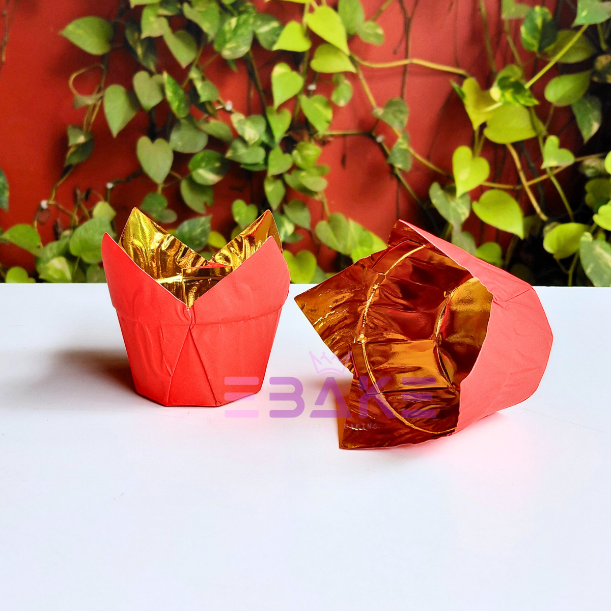 Red Tulip Cupcake Liner Paper Baking Cups (Set of 50)