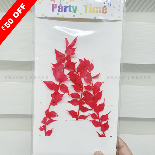 Dried Italian Ruscus Leaves - Bright Pink (3 Pcs)